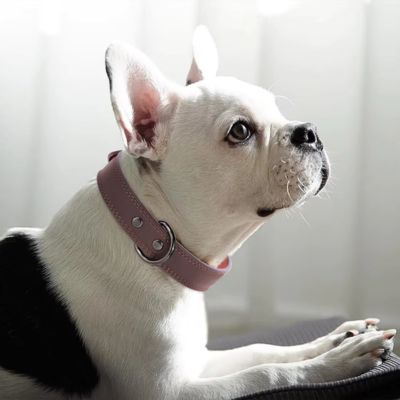 collier-cuir-chien-luxe-brun
