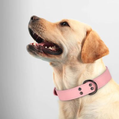 collier-cuir-chien-luxe-grand-chien-rose