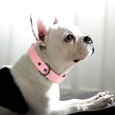 collier-cuir-chien-luxe-rose