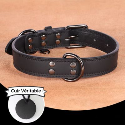 collier-cuir-chien-noir-grand