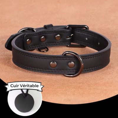 collier-cuir-chien-noir-petit