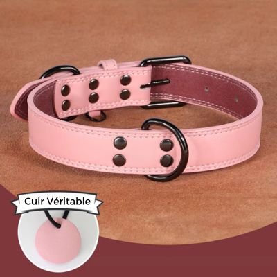 collier-cuir-chien-rose-grand