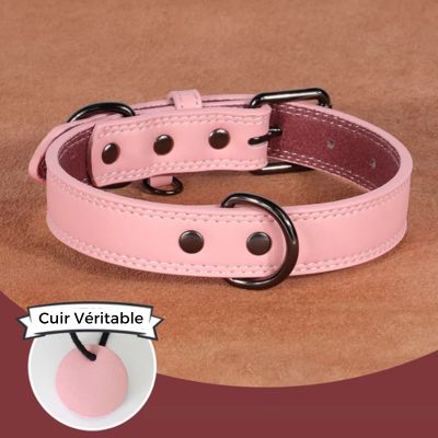 collier-cuir-chien-rose-petit