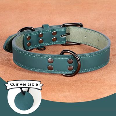 collier-cuir-chien-vert-grand