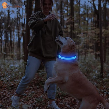 Collier Lumineux Chien NightGuard™ – Rechargeable