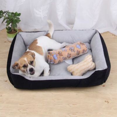 couchage-chien-noir-avec-couverture