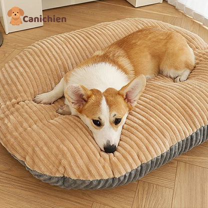 Coussin anti stress chien | TranquiPaw™