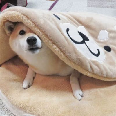 COUSSIN ANTI STRESS CHIEN - BEARHUG™