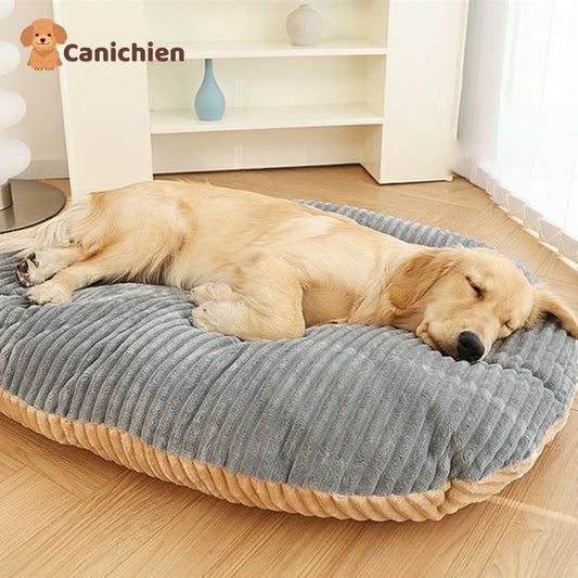 Coussin anti stress chien | TranquiPaw™