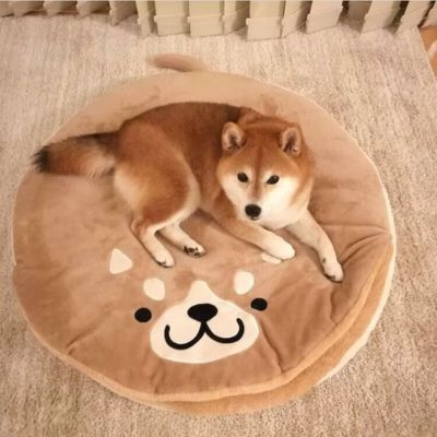 COUSSIN ANTI STRESS CHIEN - BEARHUG™