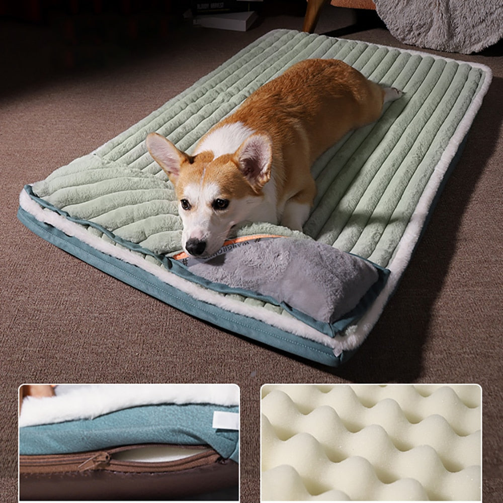 coussin-chien-apaisant