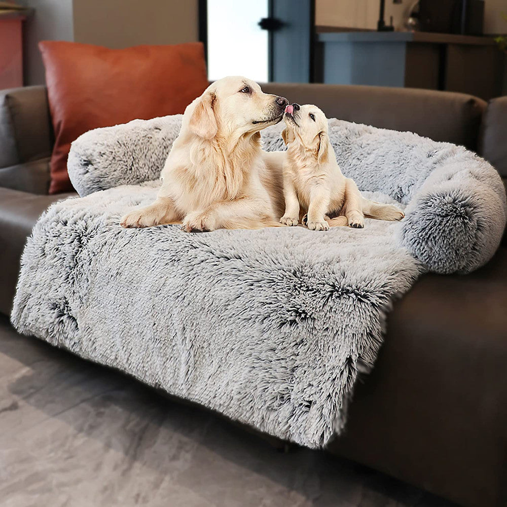 coussin-chien-gris-confort