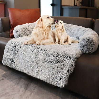 coussin-chien-gris-confort