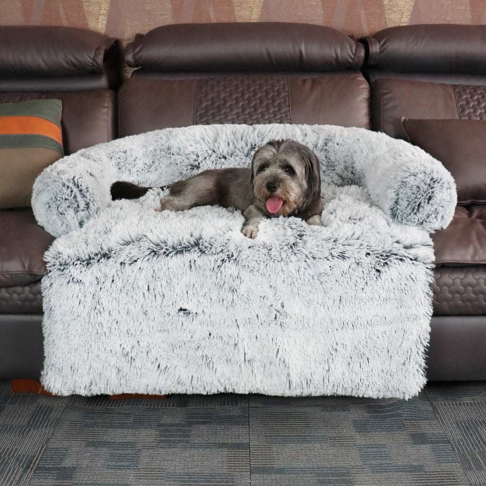 coussin-chien-gris-varaiante-taille-m