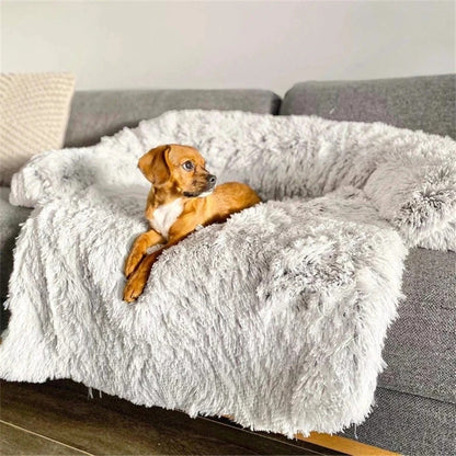 coussin-chien-gris