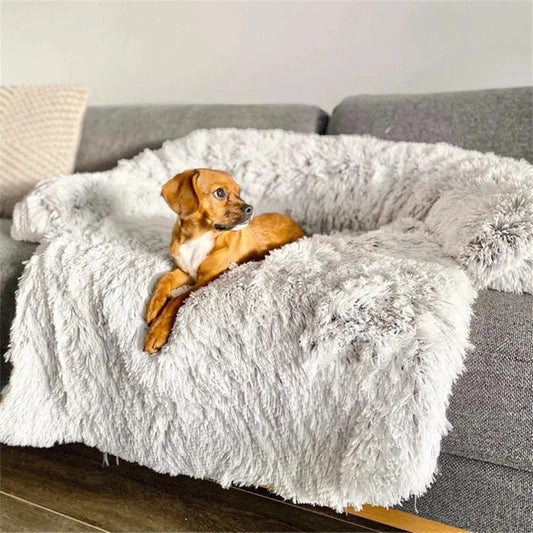 coussin-chien-gris