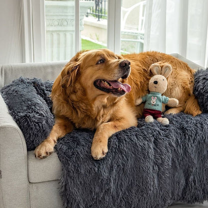 coussin-chien-variante-gris-foncer-taille-xxl