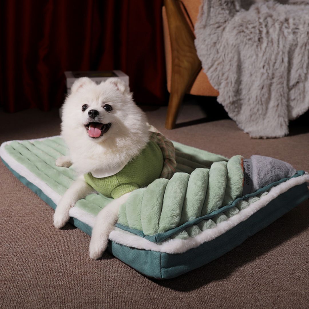    coussin-chien-vert-taille-S