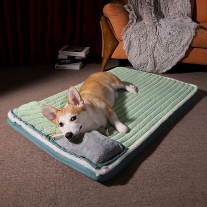coussin-chien-vert