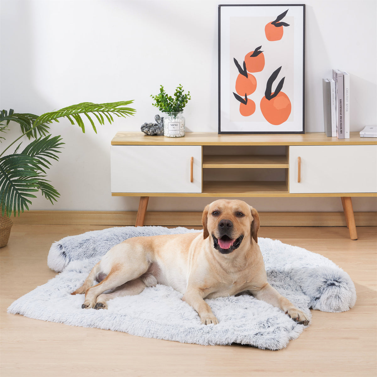 coussin-chien