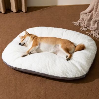 coussin-pour-chien-anti-stress