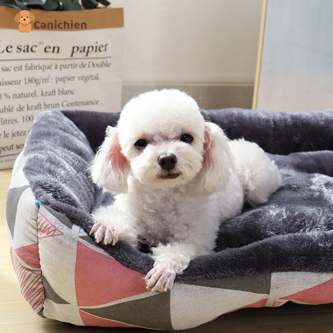 coussin-pour-chien-couleur-duo