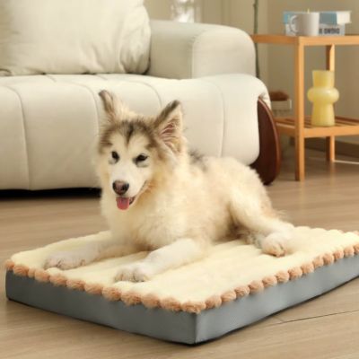 coussin-pour-chien-dehoussable-confort