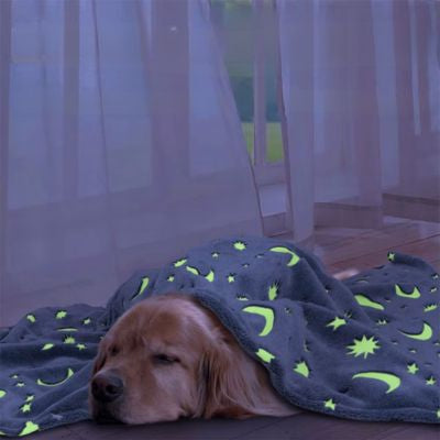 couverture-chien-illuminer-chaud