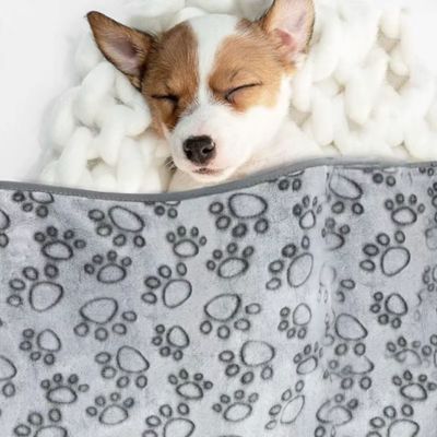 couverture-pour-chien-gris-plaid-chaude