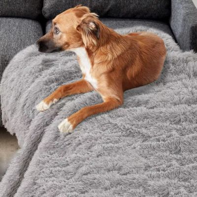 couverture-pour-chien-plaid-protection-fauteil