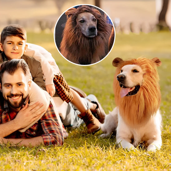 deguisement-chien-lion-criniere