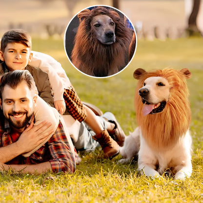 deguisement-chien-lion-criniere