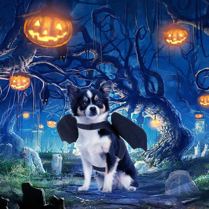 deguisement-chien-petit-chien