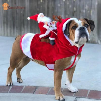 deguisement-chien-taille-xl
