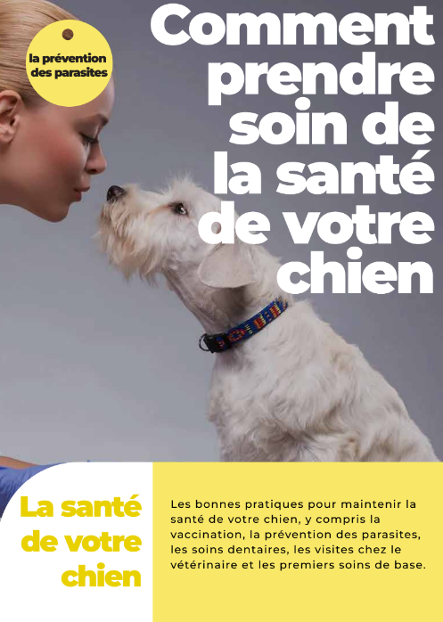 Ebook - Comment prendre soin de la santé de votre chien