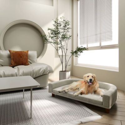 fauteuil-chien-gris-sureleve-grand