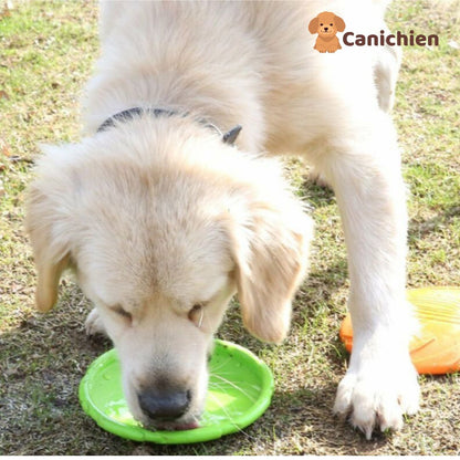 frisbee-chien-vert-3-en-1
