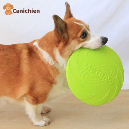 frisbee-chien-vert