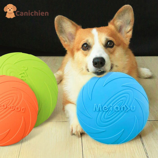 frisbee-chien