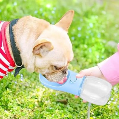gourde-pour-chien-bleu-hydratation