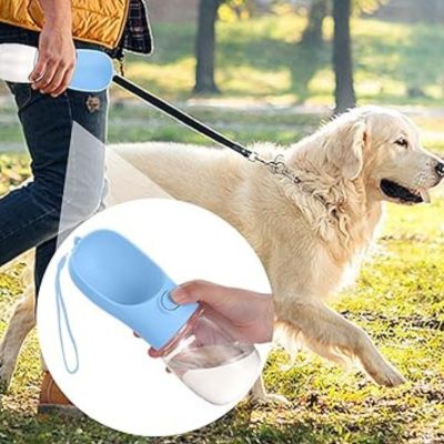 gourde-pour-chien-bleu-promenade