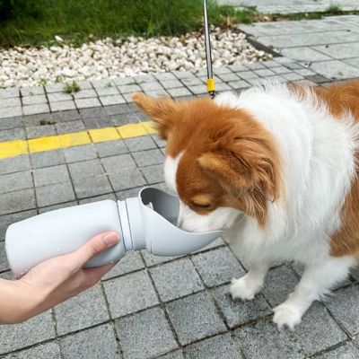 gourde-pour-chien-randonnee