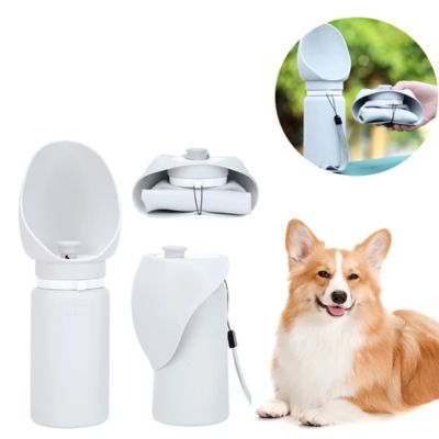gourde-pour-chien
