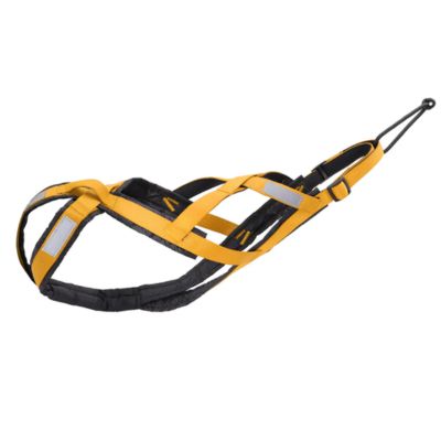 harnais-canicross-jaune