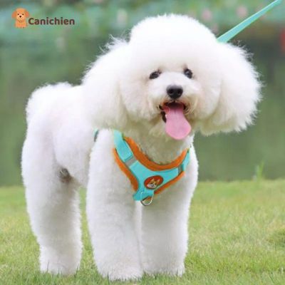 harnais-chien-anti-traction-bleu