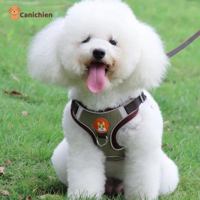 harnais-chien-anti-traction-brun