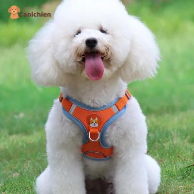 harnais-chien-anti-traction-orange-details