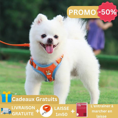 harnais-chien-anti-traction-orange