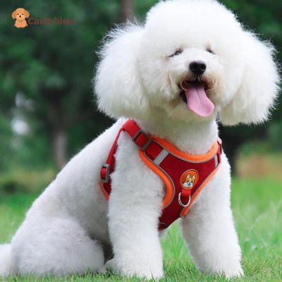 harnais-chien-anti-traction-rouge-taille-m
