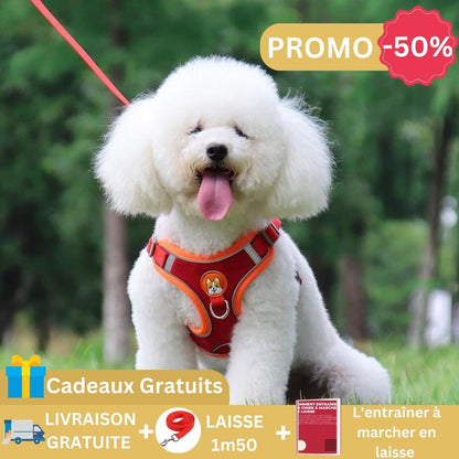 harnais-chien-anti-traction-rouge